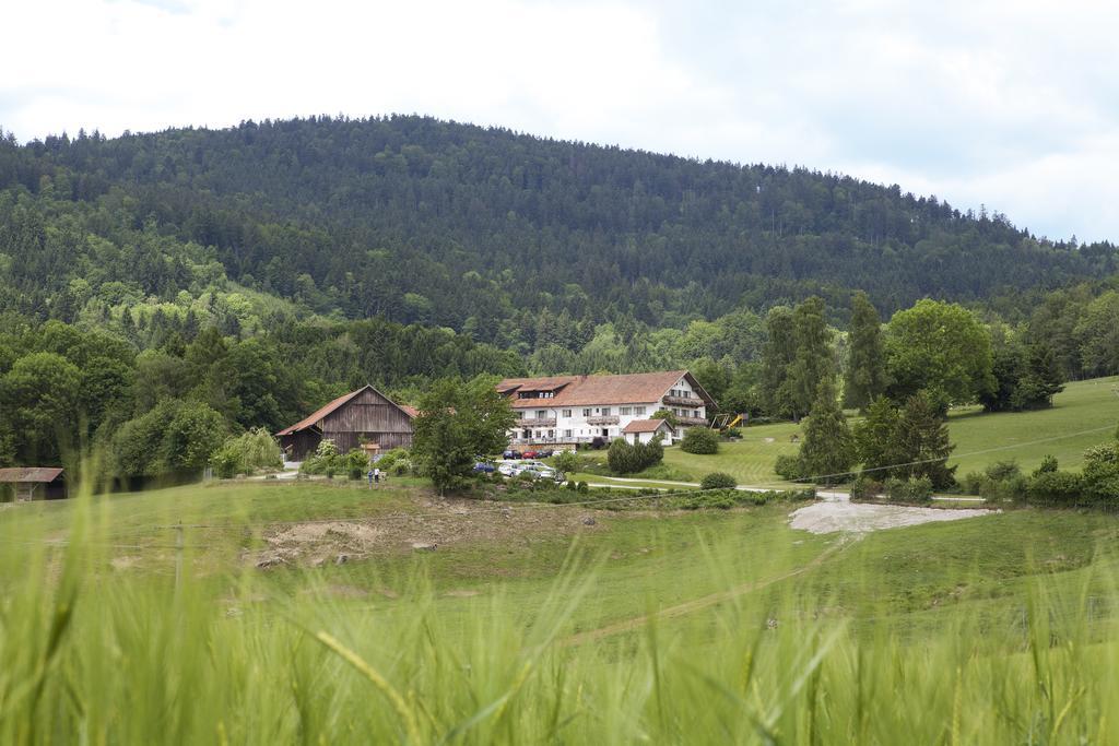Отель Wild-Berghof Buchet Бернрид Номер фото
