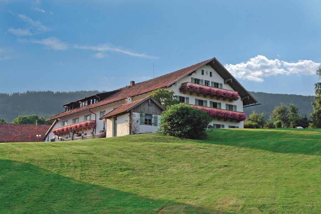 Отель Wild-Berghof Buchet Бернрид Экстерьер фото