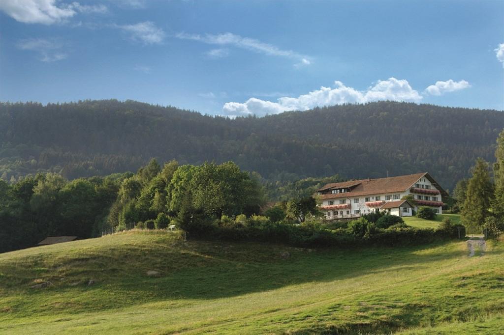 Отель Wild-Berghof Buchet Бернрид Экстерьер фото
